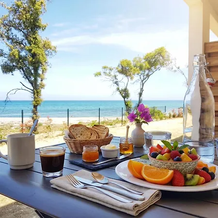 Exceptionnel - T2 Neuf Pieds Dans L'eau Avec Piscine Chauffee Apartamento *